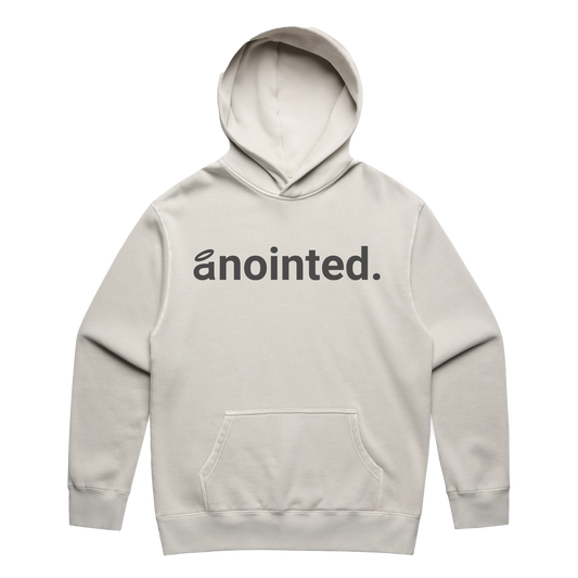 declaration men's hoodie