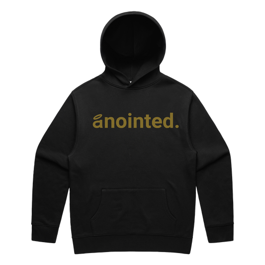 mission men's hoodie